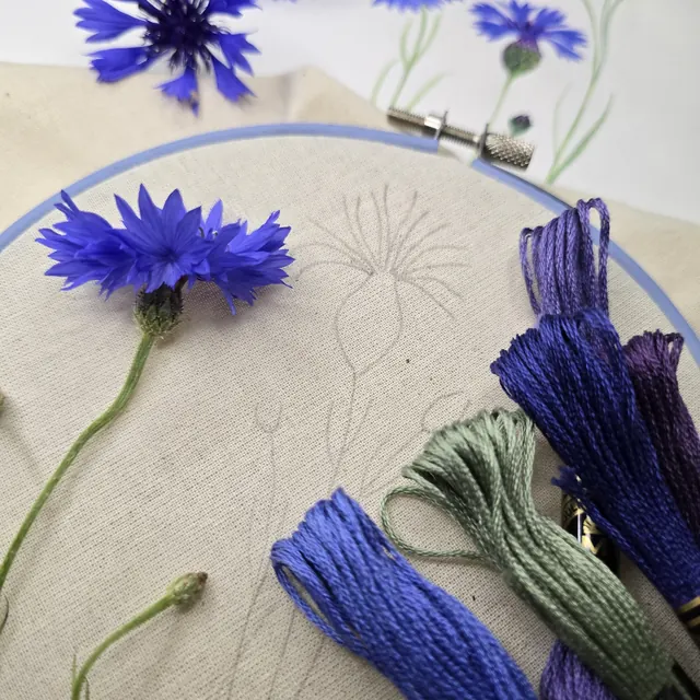 Blue cornflower embroidery hoop